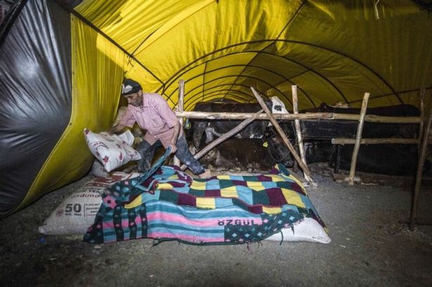 Kurban pazarında zorlu mesai 12