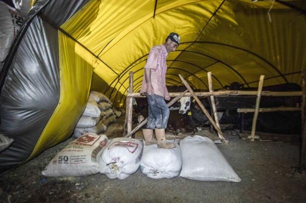 Kurban pazarında zorlu mesai 15