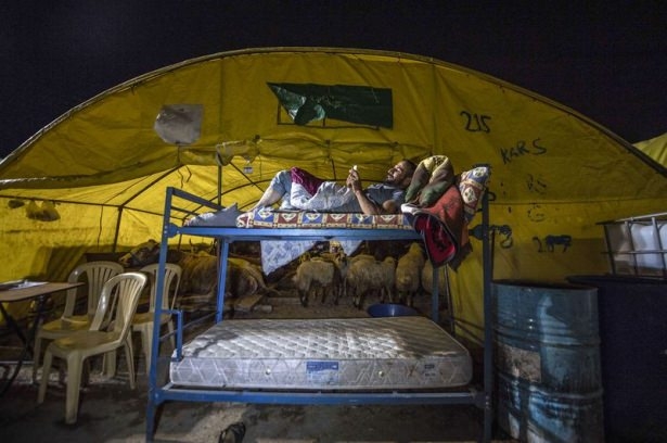 Kurban pazarında zorlu mesai 4