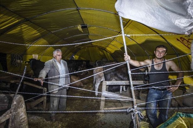 Kurban pazarında zorlu mesai 7