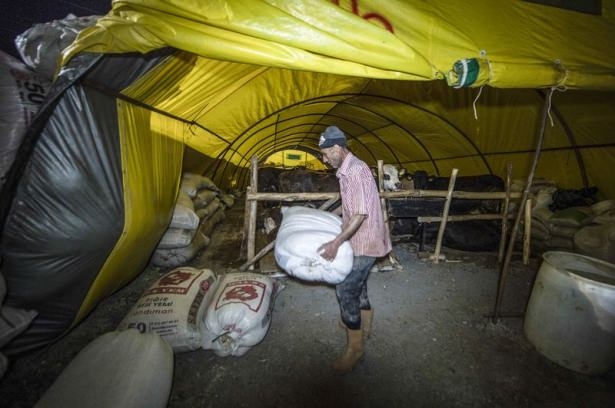 Kurban pazarında zorlu mesai 8