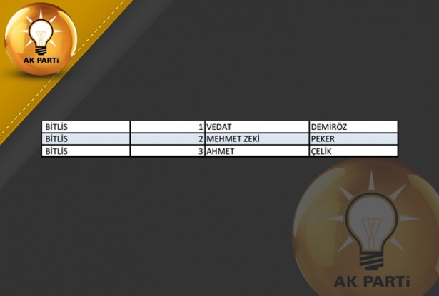 İşte AK Parti'nin 1 Kasım aday listesi 15