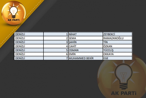 İşte AK Parti'nin 1 Kasım aday listesi 22
