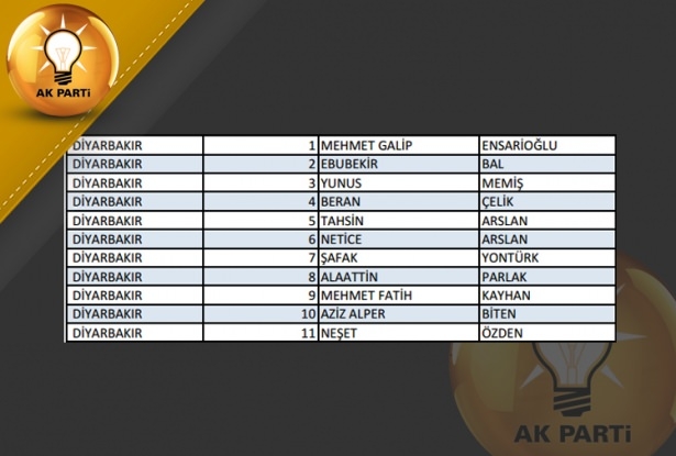İşte AK Parti'nin 1 Kasım aday listesi 23