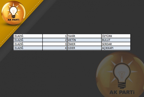 İşte AK Parti'nin 1 Kasım aday listesi 25