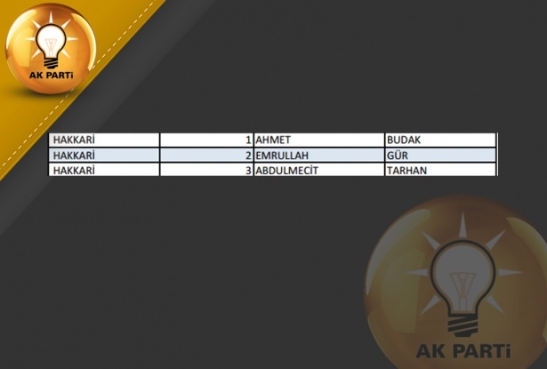 İşte AK Parti'nin 1 Kasım aday listesi 31
