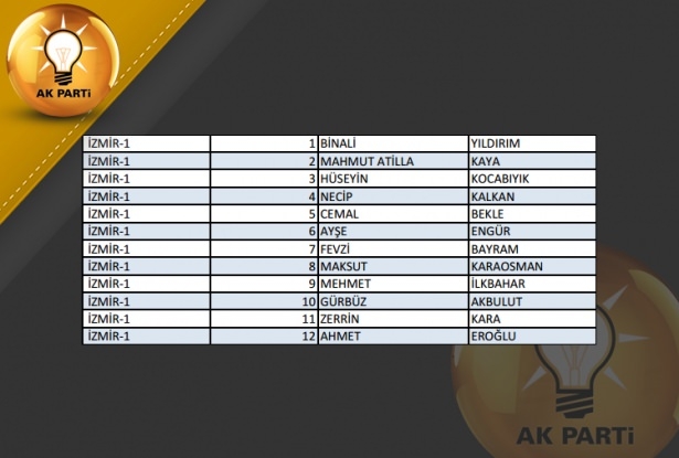 İşte AK Parti'nin 1 Kasım aday listesi 41