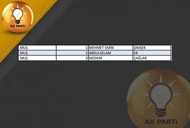 İşte AK Parti'nin 1 Kasım aday listesi 56