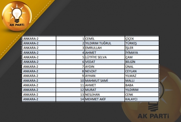 İşte AK Parti'nin 1 Kasım aday listesi 8