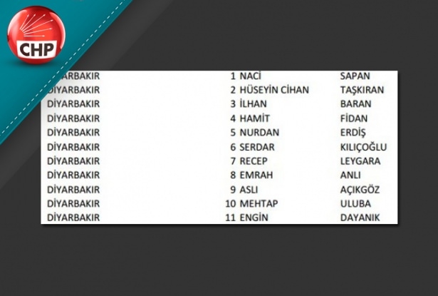 İşte CHP'nin 1 Kasım aday listesi 28