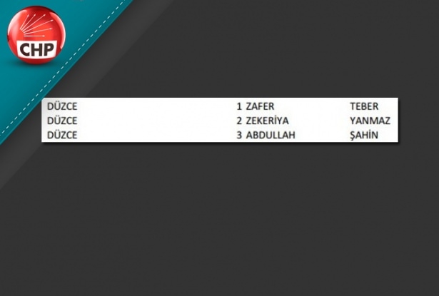 İşte CHP'nin 1 Kasım aday listesi 29