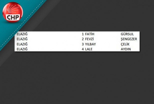 İşte CHP'nin 1 Kasım aday listesi 31