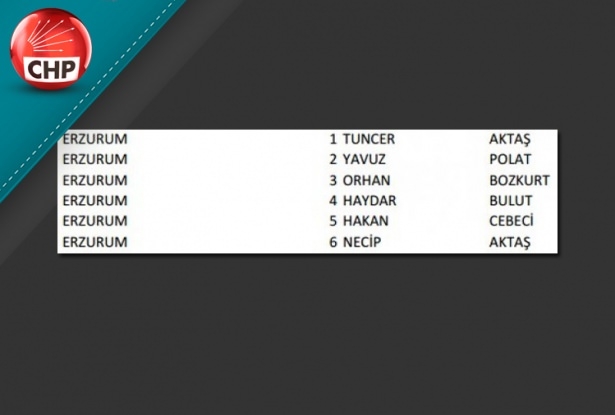 İşte CHP'nin 1 Kasım aday listesi 33