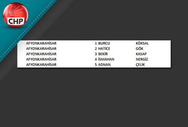 İşte CHP'nin 1 Kasım aday listesi 4