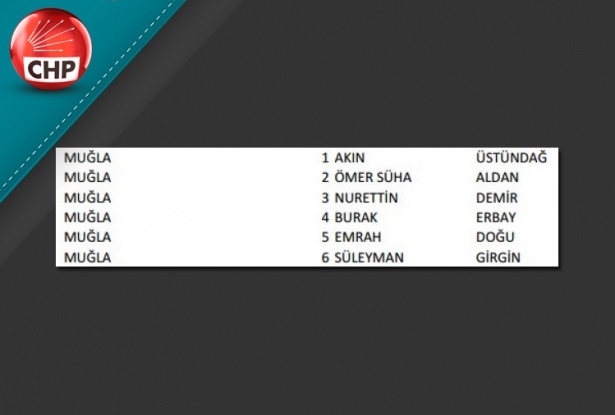 İşte CHP'nin 1 Kasım aday listesi 67