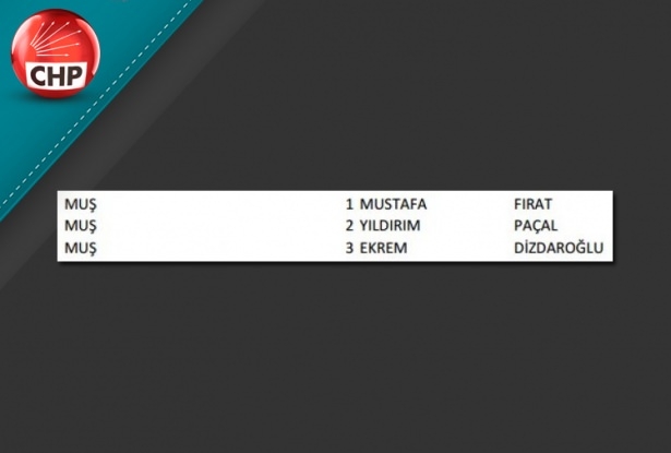 İşte CHP'nin 1 Kasım aday listesi 68