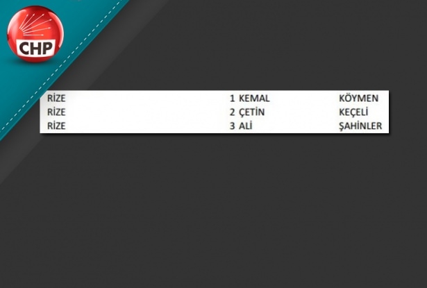 İşte CHP'nin 1 Kasım aday listesi 73