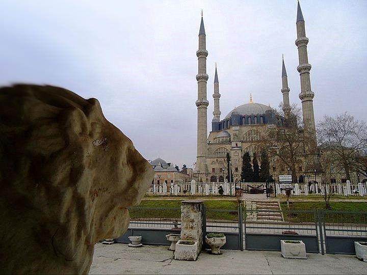 İşte MHP'nin 1 Kasım aday listesi 24