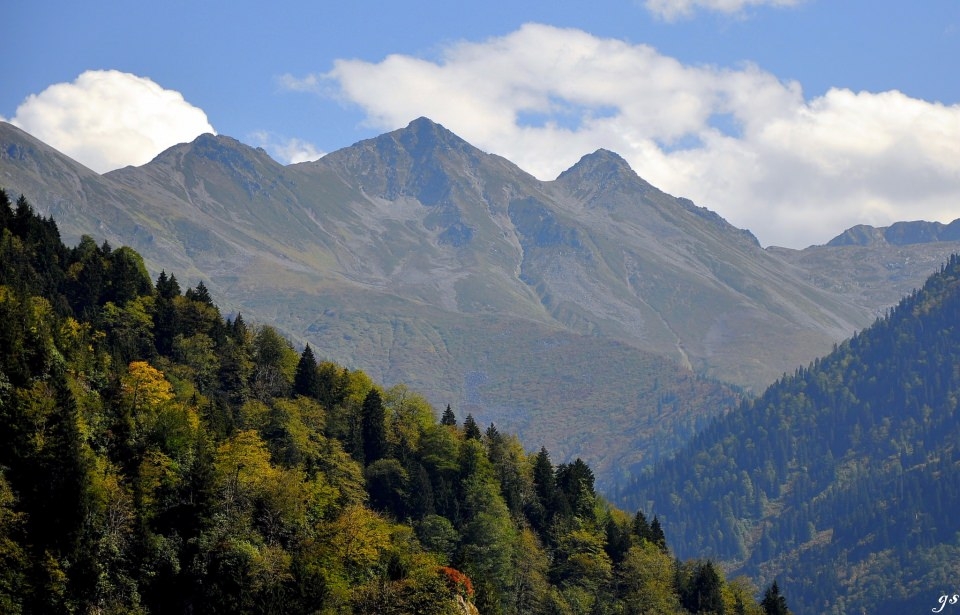 İşte MHP'nin 1 Kasım aday listesi 61
