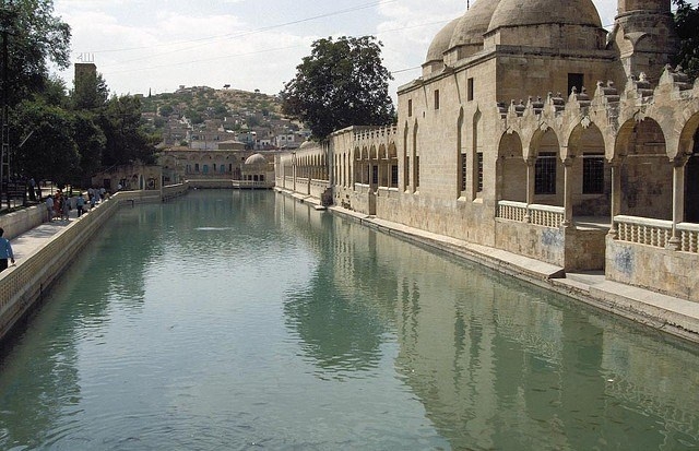 İşte MHP'nin 1 Kasım aday listesi 71