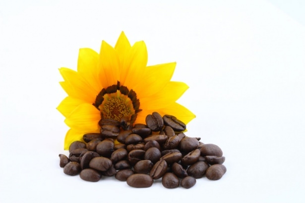 Kahvenin çok bilinmeyen 20 faydası 16