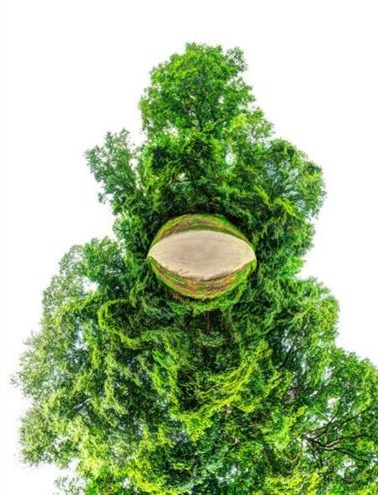 Zihni zorlayan fotoğraflar 4