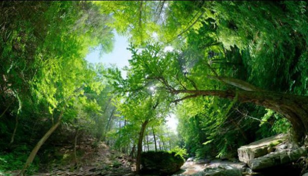 Zihni zorlayan fotoğraflar 7