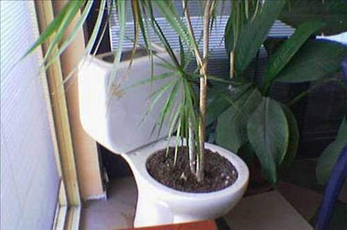 Bu insanların yaptıklarına inanamayacaksınız 31