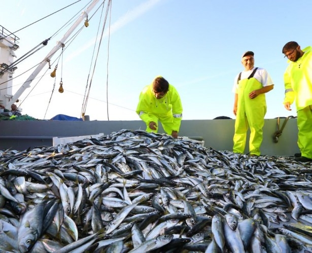 Davutoğlu'nu böyle görmediniz 2