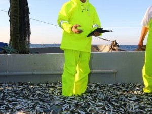 Davutoğlu'nu böyle görmediniz