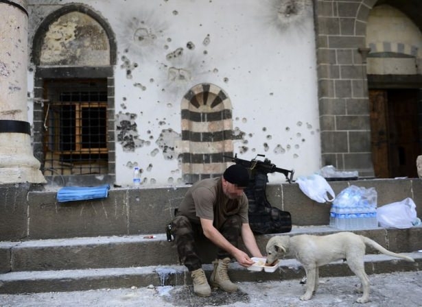 Operasyonlar tamamlandı! 86