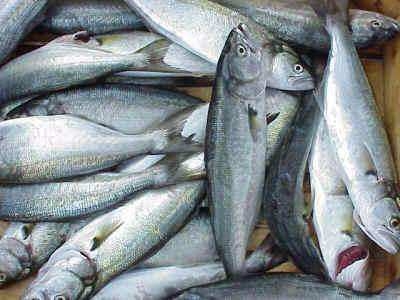 Hayat değiştiren pratik bilgiler 46