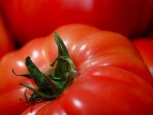 Hayat değiştiren pratik bilgiler