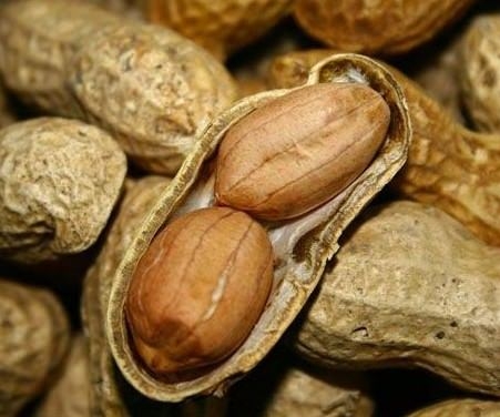 Kuruyemişin hiç bilmediğimiz faydaları 15