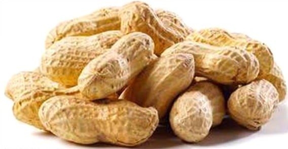 Kuruyemişin hiç bilmediğimiz faydaları 17