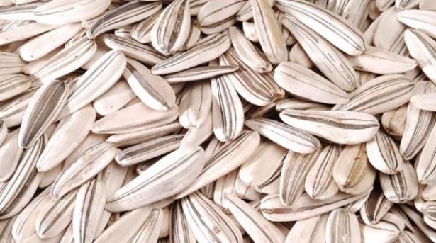 Kuruyemişin hiç bilmediğimiz faydaları 2