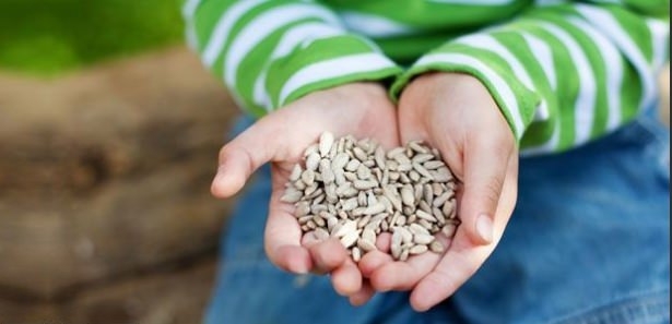 Kuruyemişin hiç bilmediğimiz faydaları 4