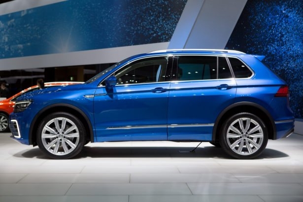 Devlerden gövde gösterisi 160