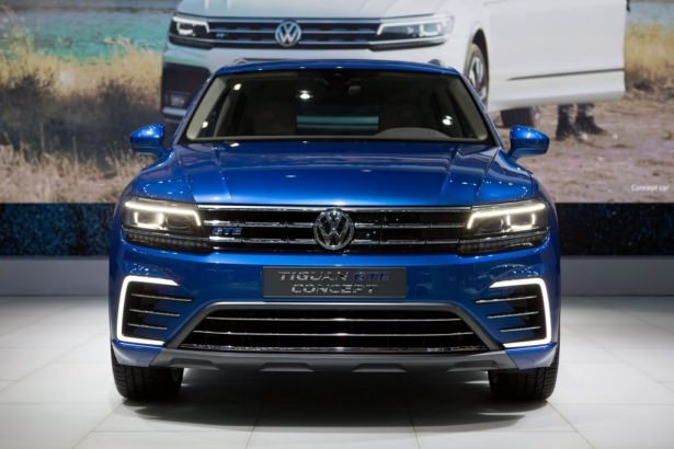 Devlerden gövde gösterisi 164