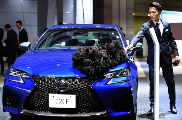 Devlerden gövde gösterisi 51