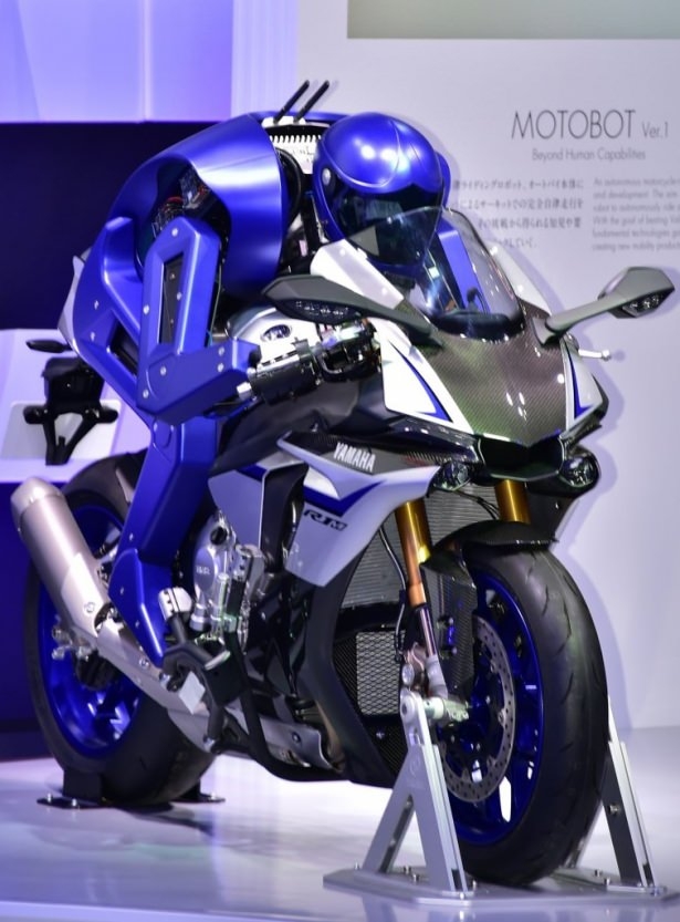 Devlerden gövde gösterisi 68