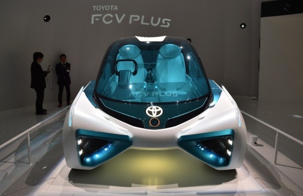 Devlerden gövde gösterisi 72