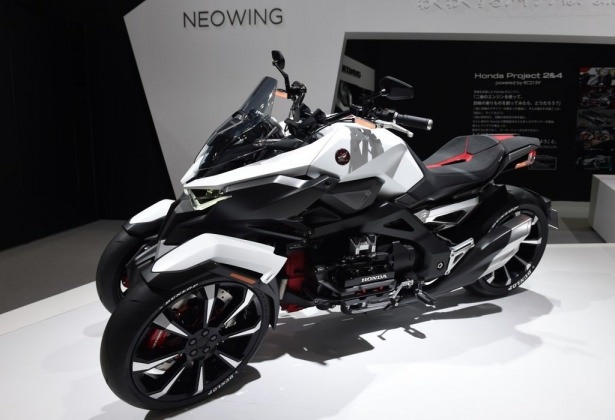 Devlerden gövde gösterisi 82