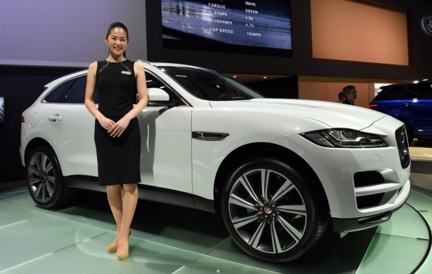 Devlerden gövde gösterisi 85