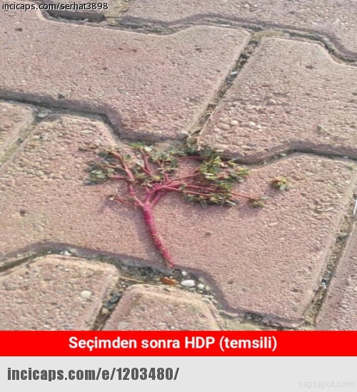 Seçim capsleri gülmekten kırdı geçirdi! 22