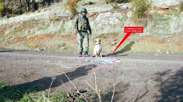 PKK'nın bombacısı öldürüldü 18