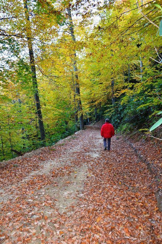 Türkiye'den eşsiz sonbahar manzaraları 1