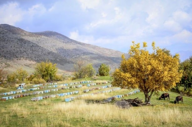 Türkiye'den eşsiz sonbahar manzaraları 11