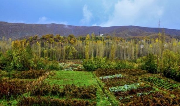 Türkiye'den eşsiz sonbahar manzaraları 13