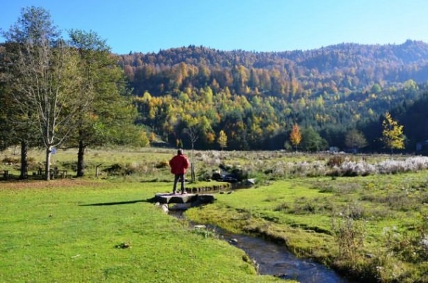 Türkiye'den eşsiz sonbahar manzaraları 4